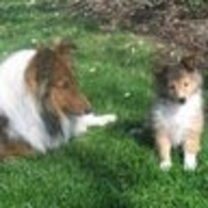 Meet your Posher, Beth